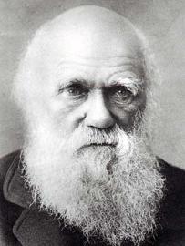darwin